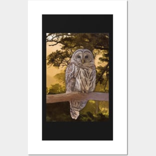 Tawny Owl Artwork Posters and Art